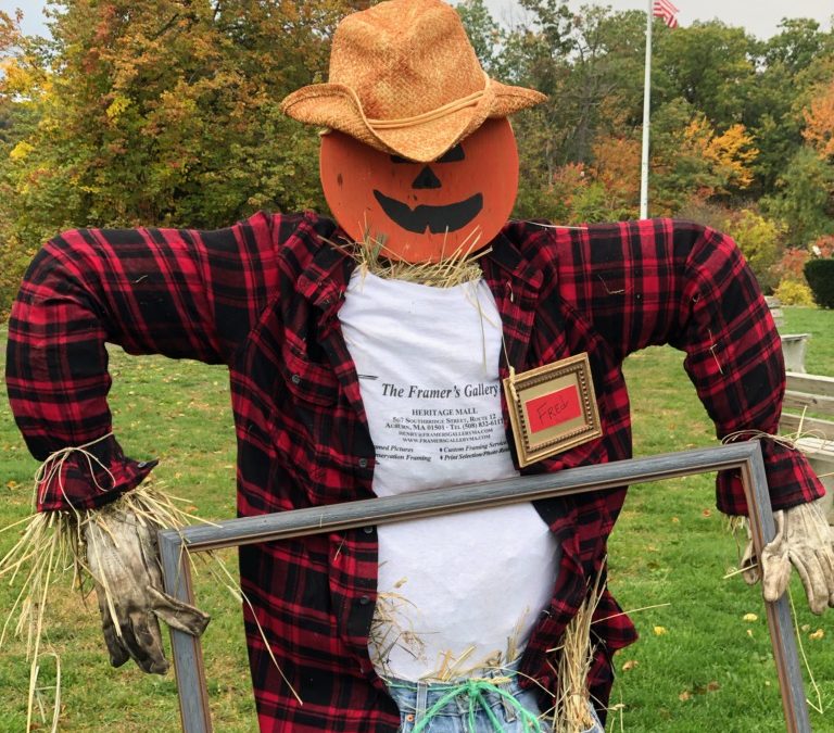 First Scarecrow is up!